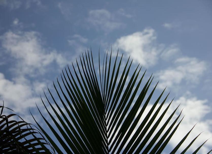 Sonstige Foto