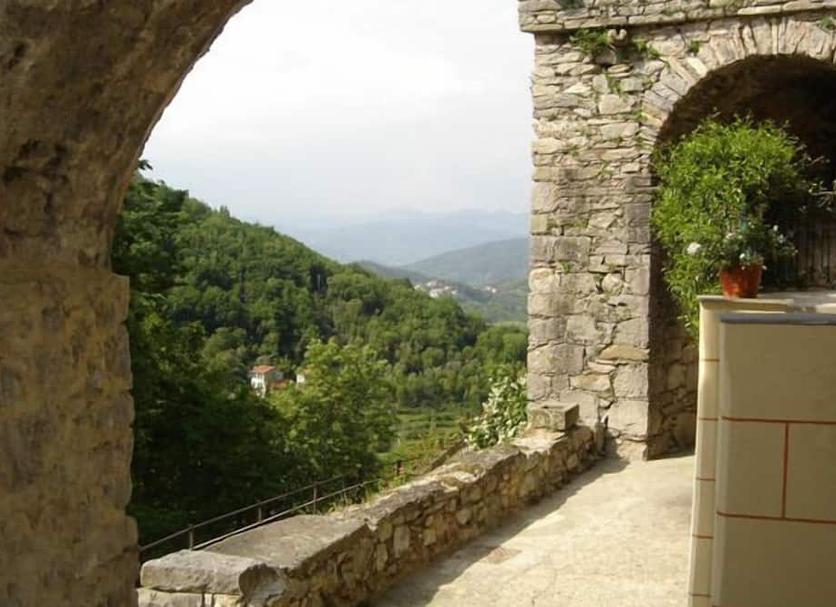 Sonstige Foto