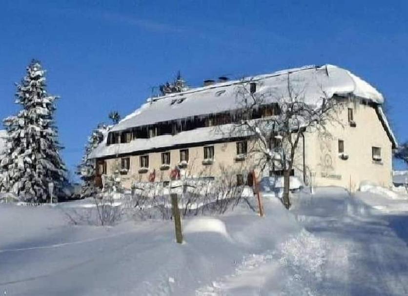 Sonstige Foto
