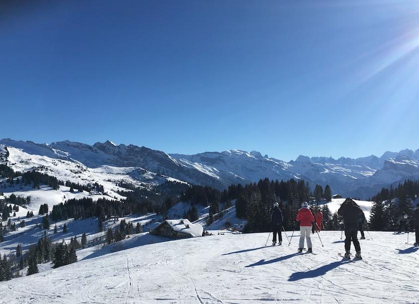 Sonstige Foto