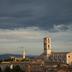 Sonstige