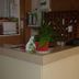 Rezeption