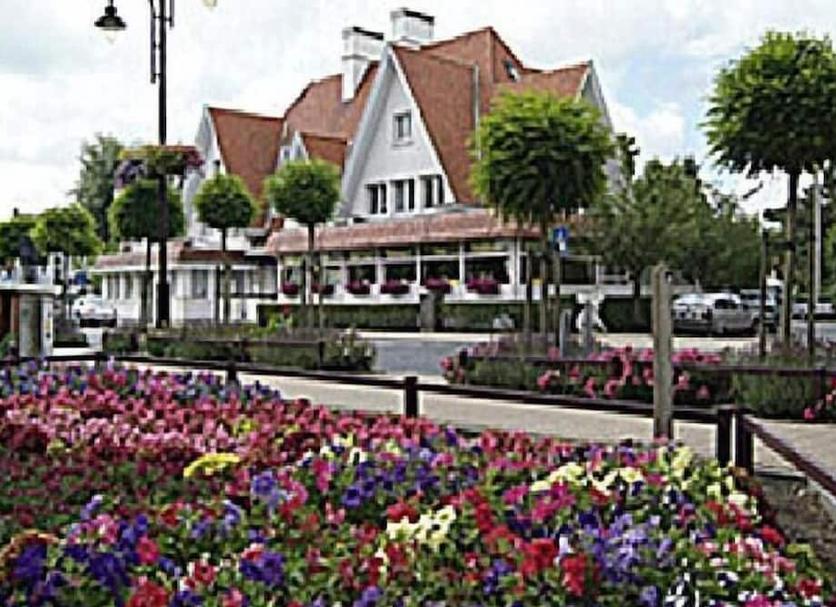 Sonstige Foto