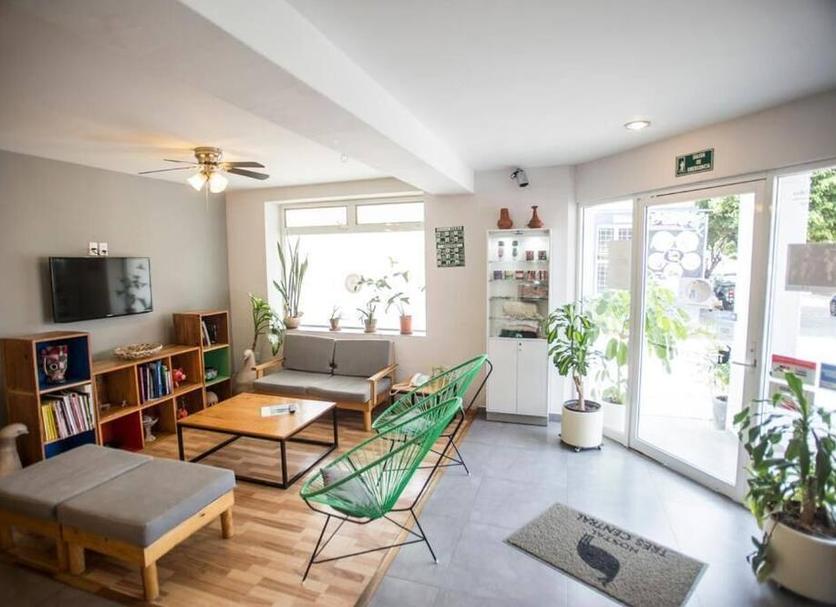 Wohnzimmer Foto