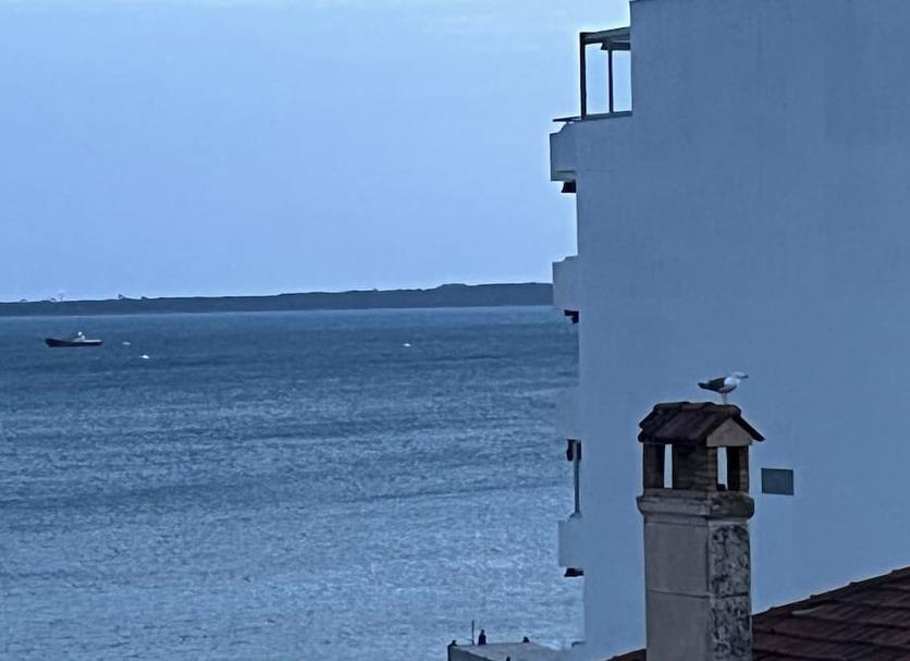 Außenansicht Foto