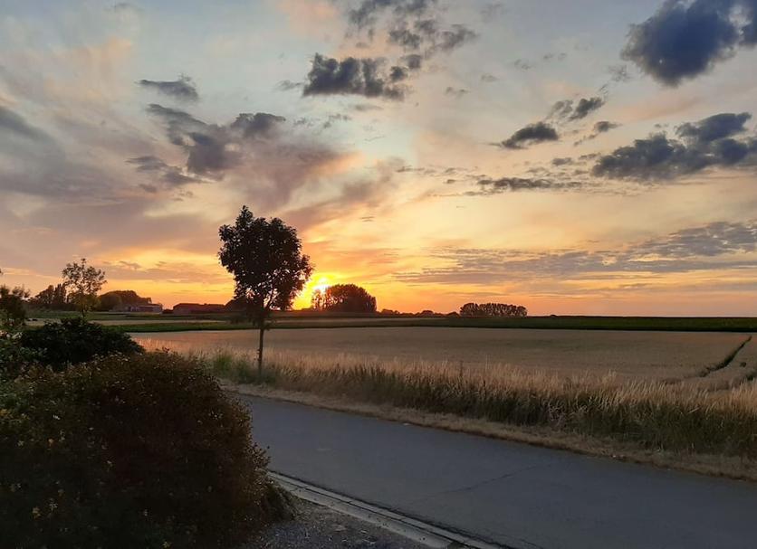 Außenansicht Foto