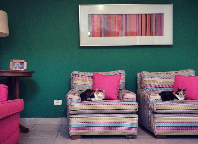 Wohnzimmer Foto