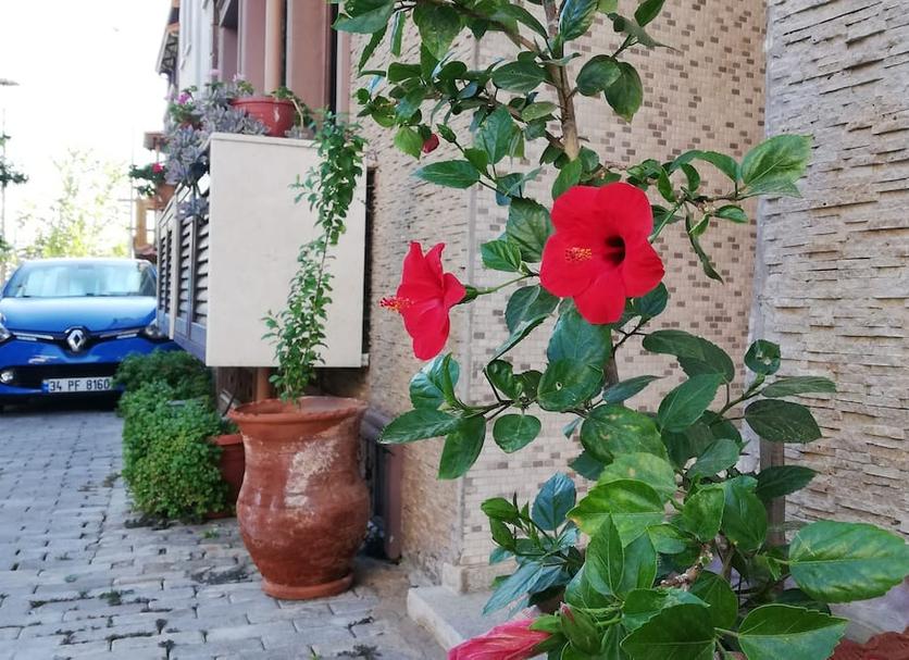 Außenansicht Foto