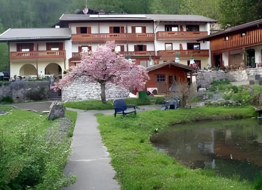 Sonstige Foto