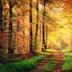 Sonstige