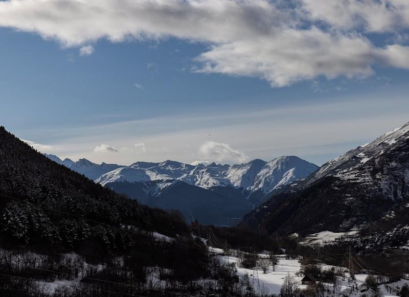 Sonstige Foto