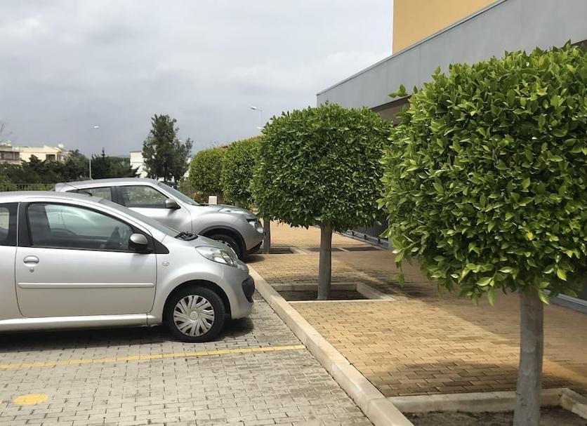Außenansicht Foto
