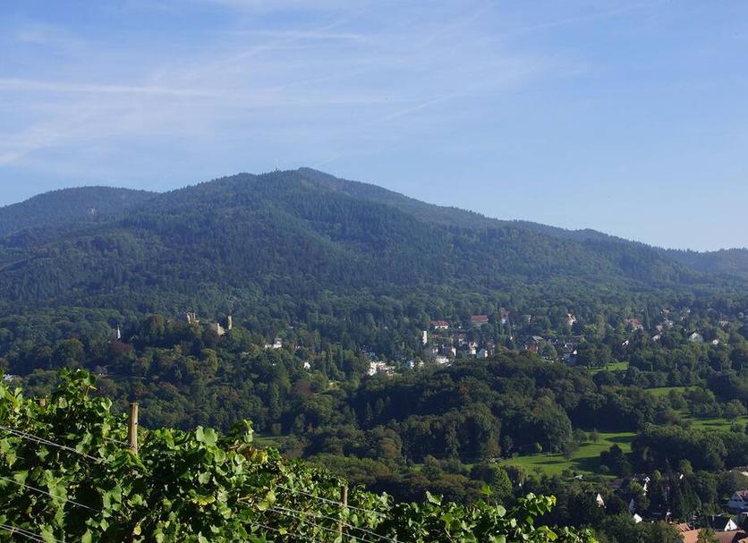 Außenansicht Foto