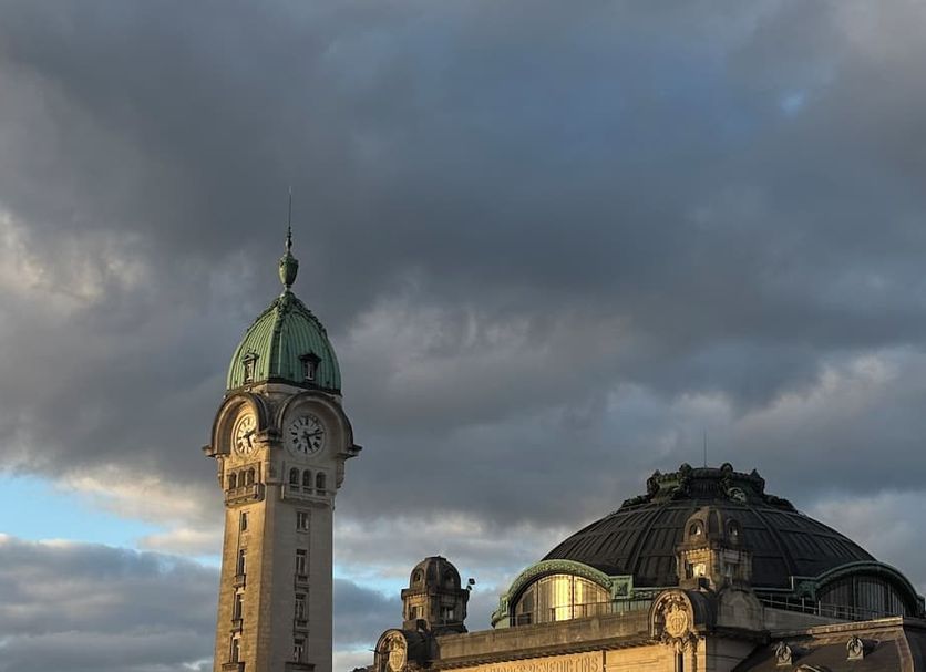 Sonstige Foto