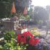 Sonstige