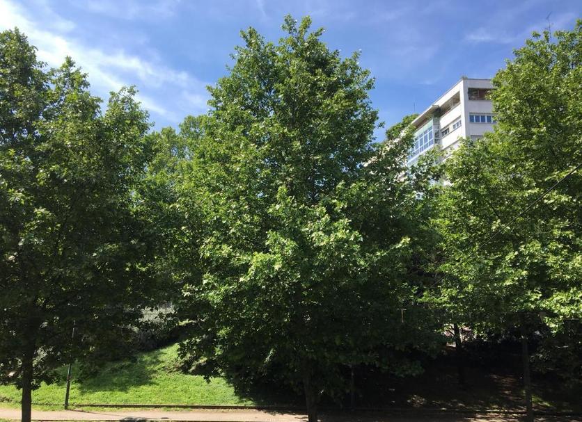 Außenansicht Foto