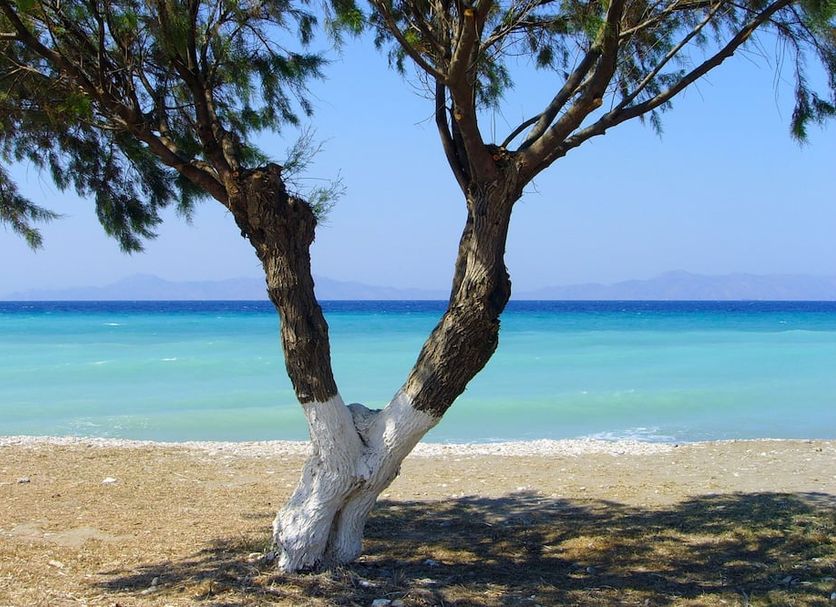 Strand Foto