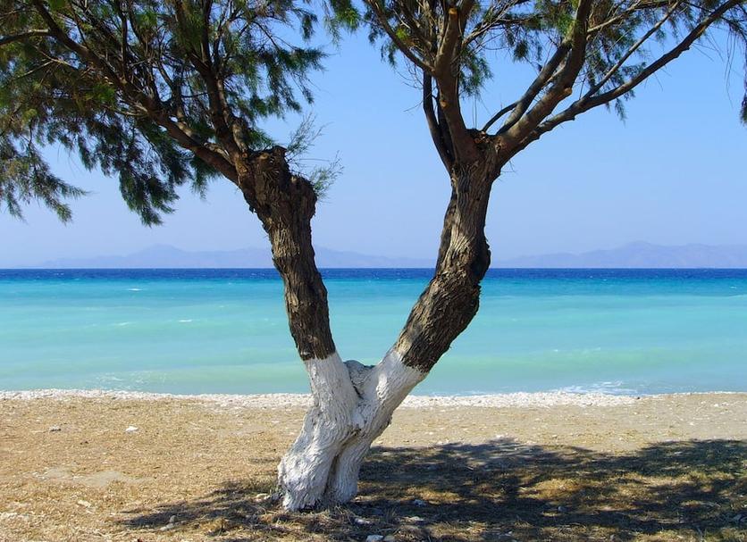 Strand Foto