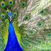 Sonstige