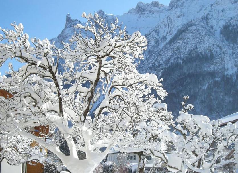 Außenansicht Foto