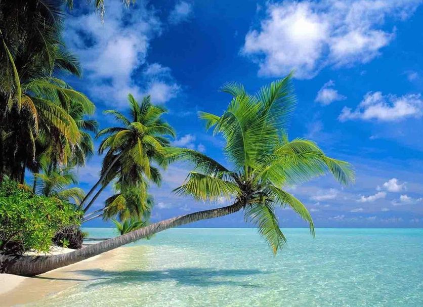 Strand Foto