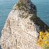 Sonstige