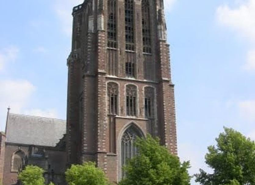 Sonstige Foto