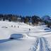 Sonstige