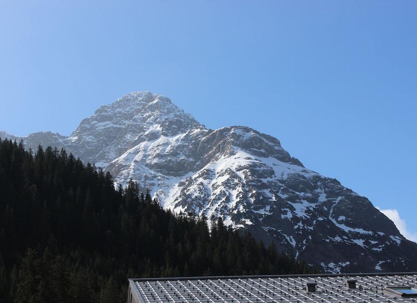 Sonstige Foto