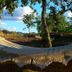 Sonstige