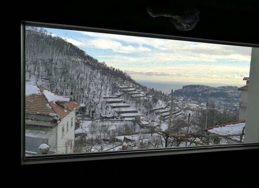 Sonstige Foto