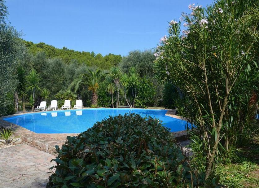 Pool Foto