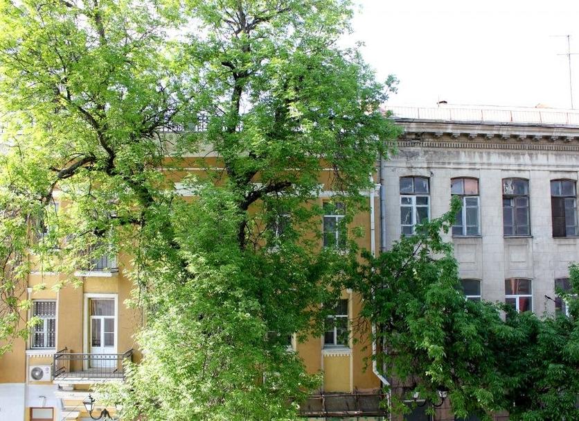 Sonstige Foto