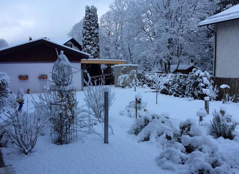 Sonstige Foto