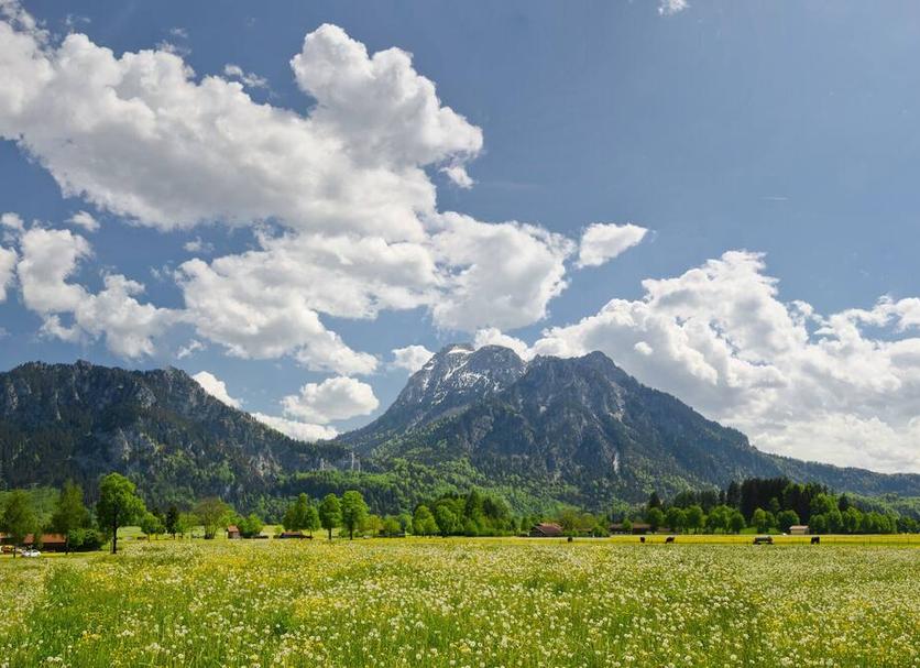 Außenansicht Foto
