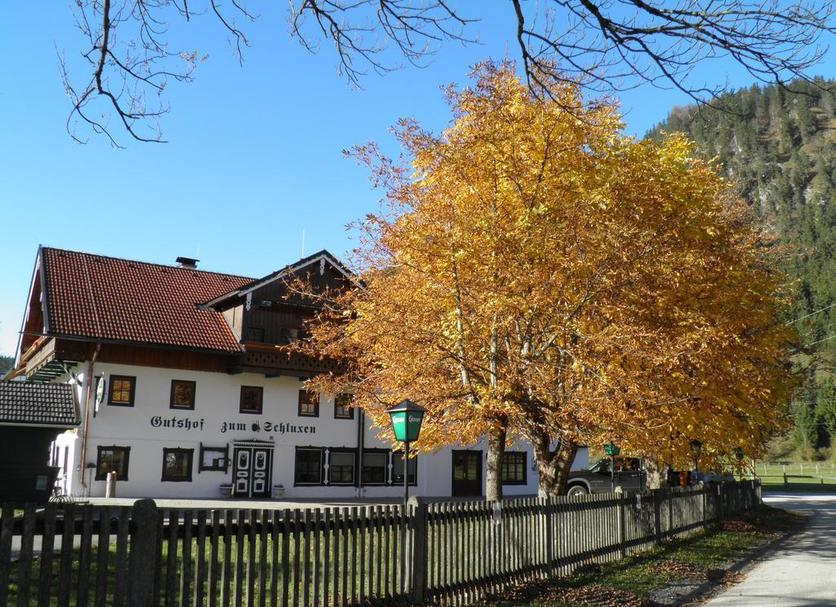 Sonstige Foto