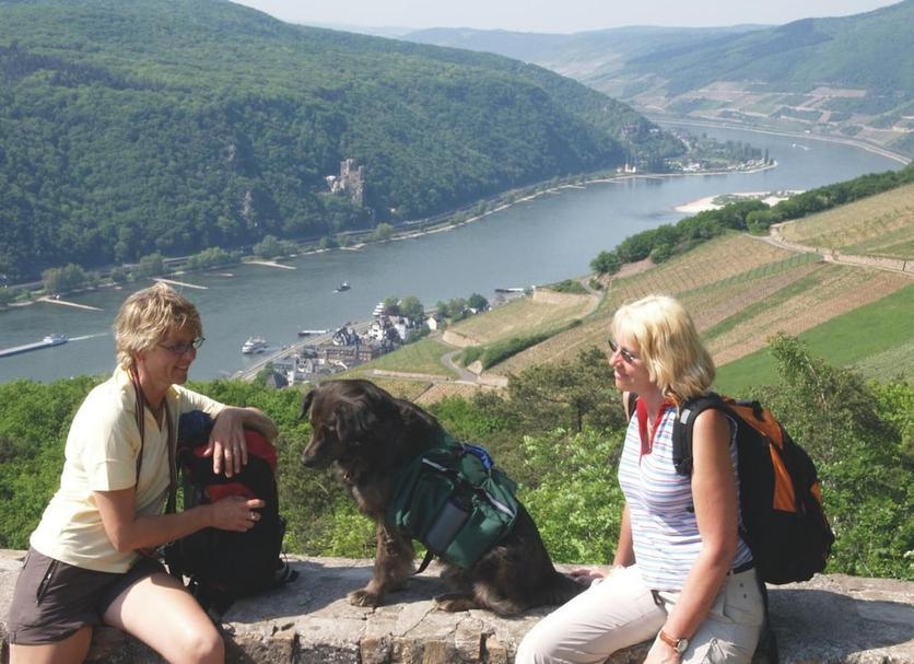 Sonstige Foto