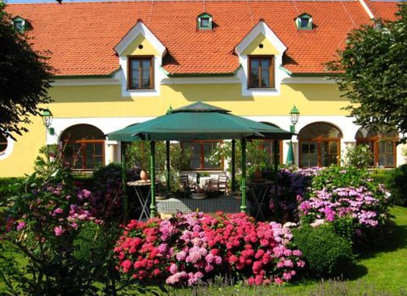 Sonstige Foto