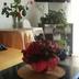 Sonstige