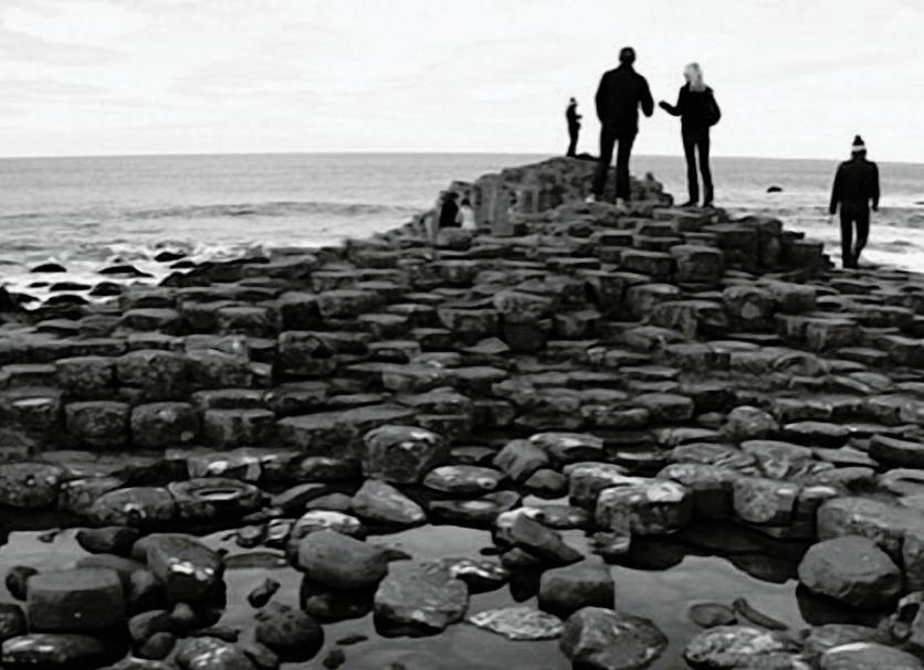 Sonstige Foto