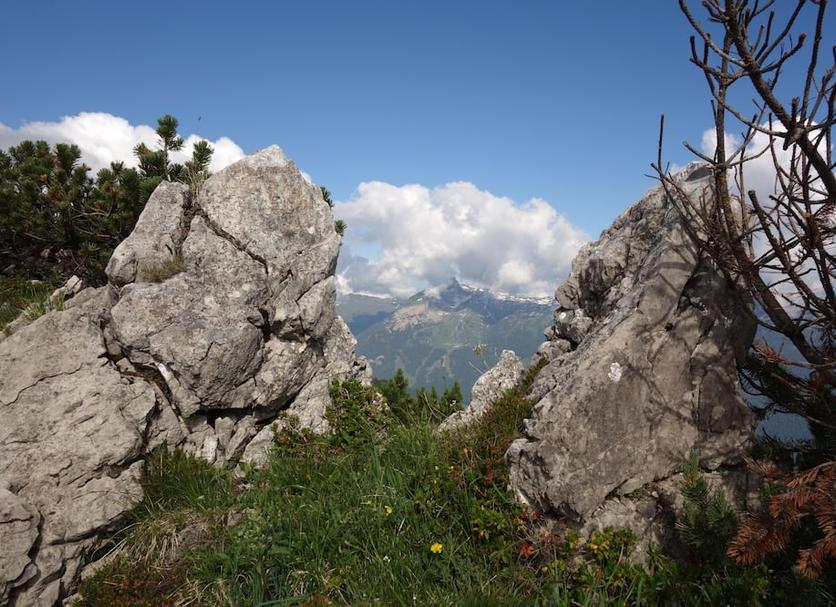 Sonstige Foto