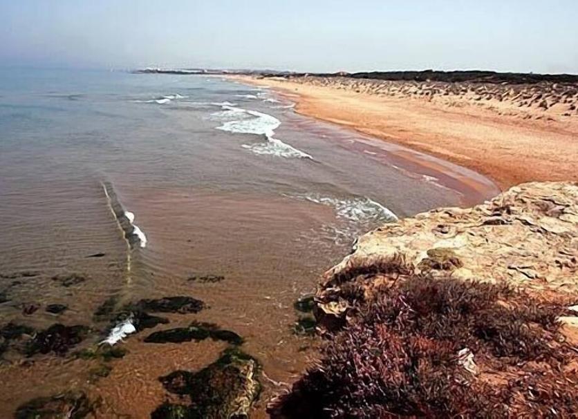 Strand Foto