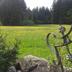 Sonstige