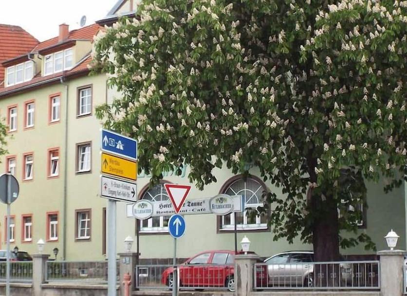 Sonstige Foto