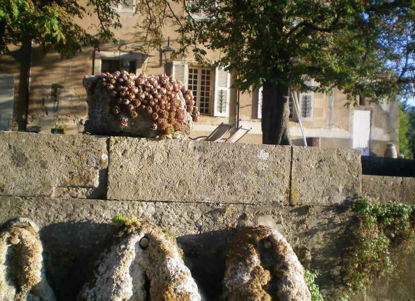 Außenansicht Foto