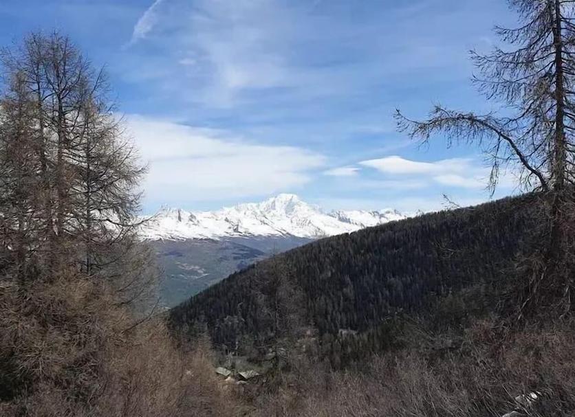 Außenansicht Foto