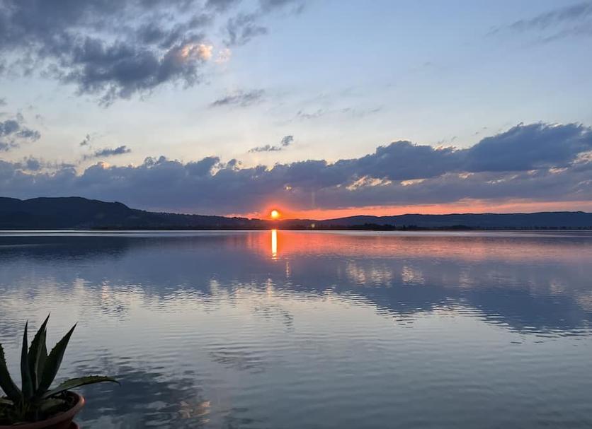 Außenansicht Foto