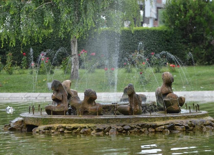 Sonstige Foto