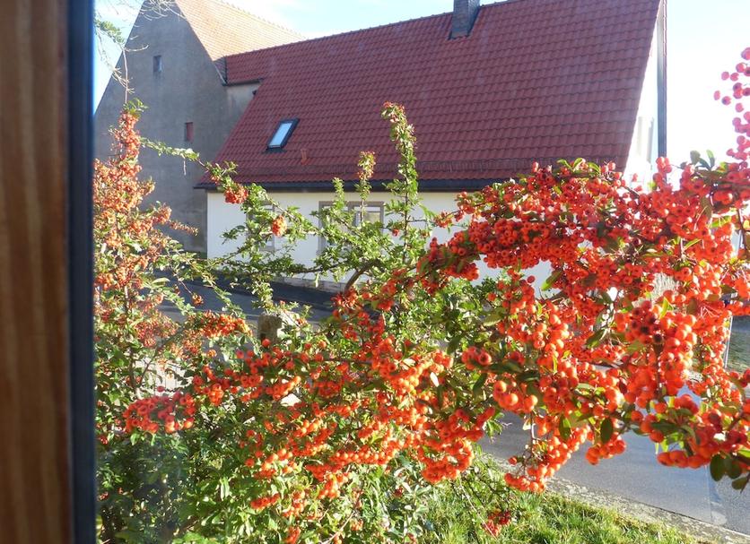 Außenansicht Foto