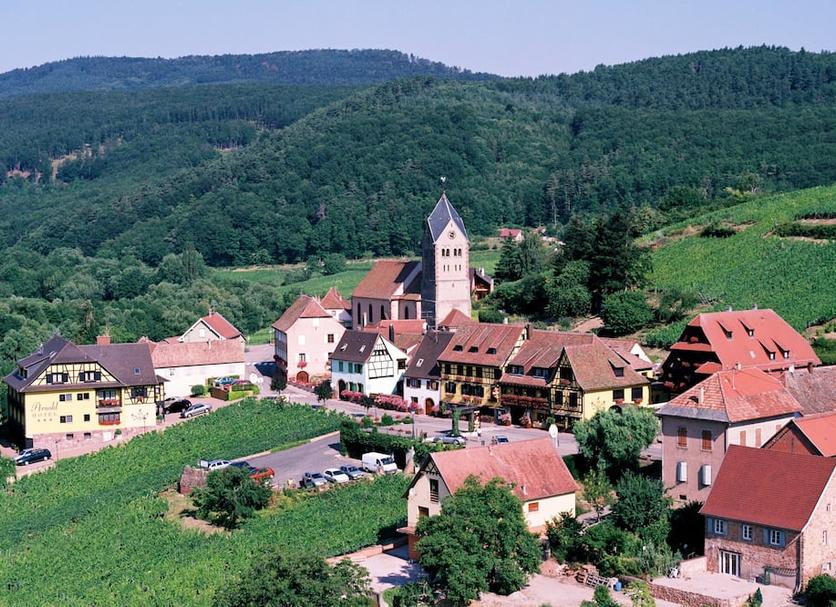 Sonstige Foto